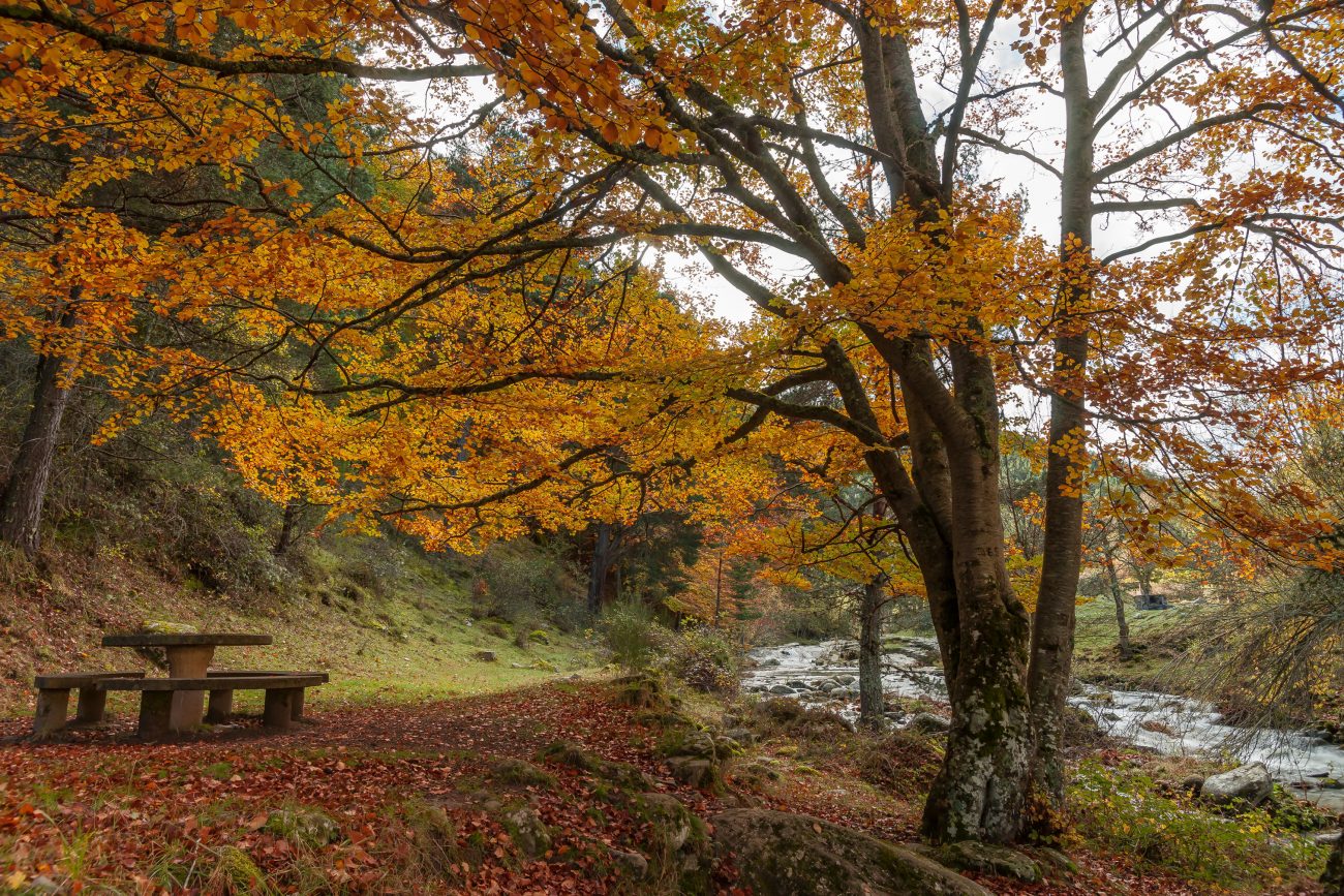 Otoño a la riojana